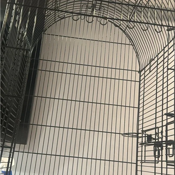 Black Bird Cage